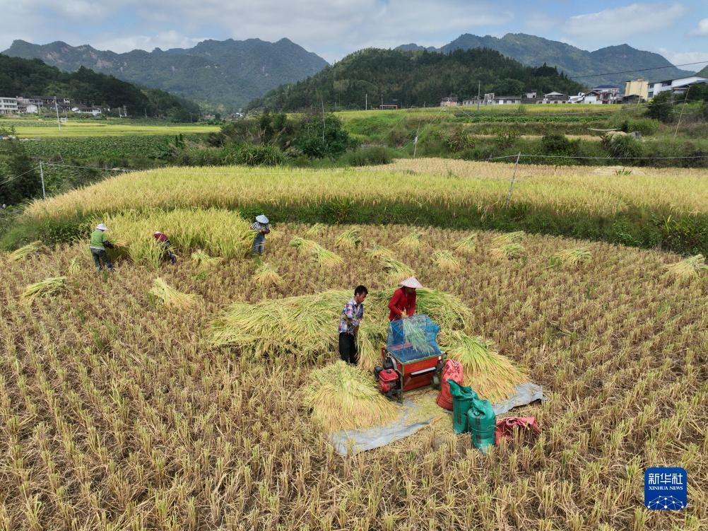 希尔顿电子游戏网站